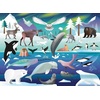 image:imageCeaco  Amanda Shufflebotham  Arctic Adventure 100 Piece Jigsaw Puzzle