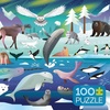 image:imageCeaco  Amanda Shufflebotham  Arctic Adventure 100 Piece Jigsaw Puzzle