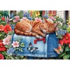 image:imageCeaco  Cat Nap  500 Piece Jigsaw Puzzle for Adults