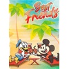 image:imageCeaco  Disney Mickey and Donald Posters  5 Pack 300750 Piece Puzzles