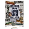 image:imageCeaco  Harry Potter Undesirable No 11000 Piece Puzzle for Adults
