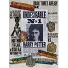image:imageCeaco  Harry Potter Undesirable No 11000 Piece Puzzle for Adults