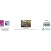 image:imageCeaco  Marians Garden  500 Piece Jigsaw Puzzle for Adults