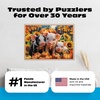 image:imageCeaco  Pumpkin Piglets  500 Piece Puzzle