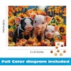 image:imageCeaco  Pumpkin Piglets  500 Piece Puzzle