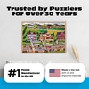 image:imageCeaco  Soap Box Derby  500 Piece Summer Jigsaw Puzzle for Adults