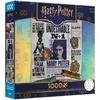 image:imageCeaco  Harry Potter Undesirable No 11000 Piece Puzzle for Adults