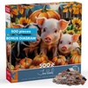 image:imageCeaco  Pumpkin Piglets  500 Piece Puzzle